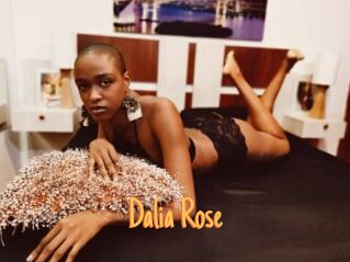 Dalia_Rose