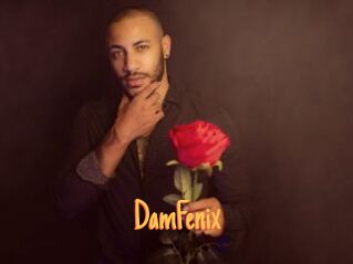 DamFenix