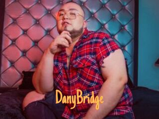 DanyBridge