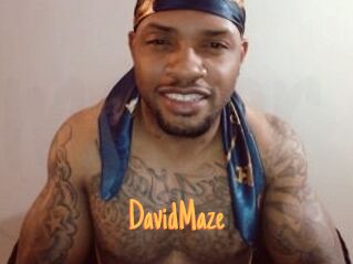 David_Maze