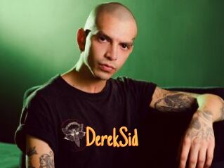 DerekSid