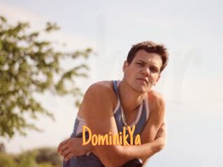 DominikYa