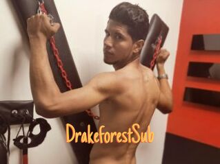 DrakeforestSub Mobile Porno