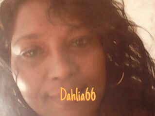 Dahlia66
