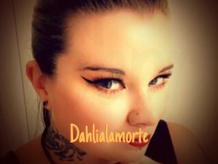 Dahlialamorte