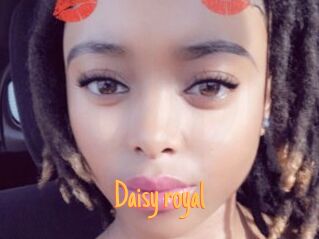 Daisy_royal