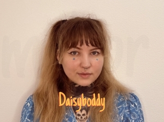 Daisyboddy