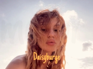 Daisyburge