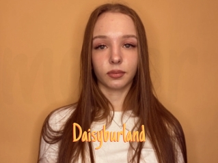 Daisyburland