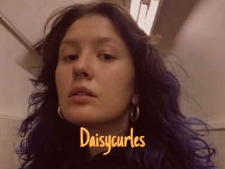 Daisycurles