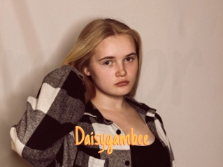 Daisygambee