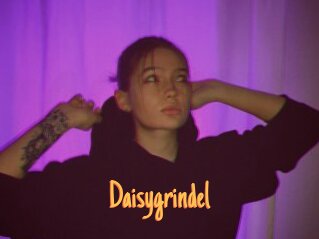 Daisygrindel