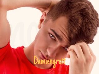 Damiengrett
