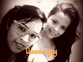 Dammins_gray