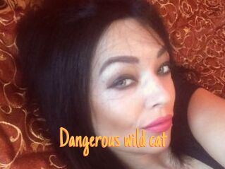 dangerous_wild_cat Mobile Porno