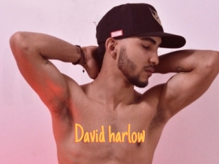 David_harlow
