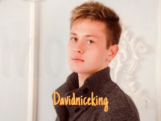 Davidniceking
