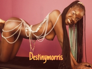 destinymorris Mobile Porno