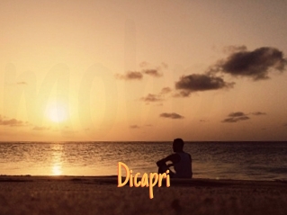 Dicapri