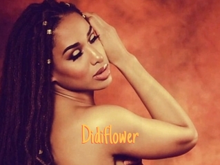 Didiflower