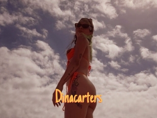 Dinacarters