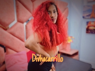 Divhacarrillo