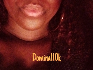 Domina110k