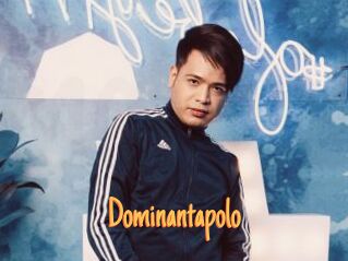 Dominantapolo