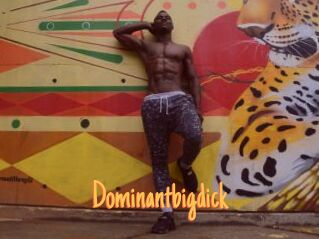 Dominantbigdick
