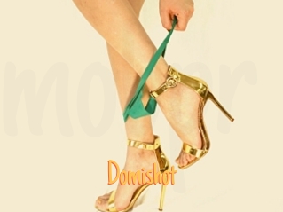 Domishot