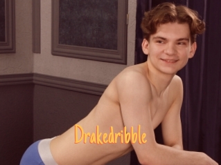 Drakedribble