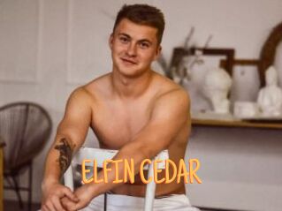 ELFIN_CEDAR