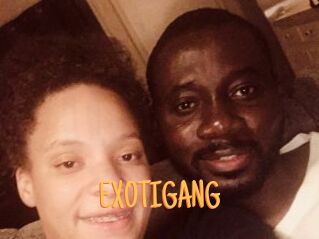 EXOTIGANG
