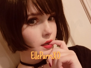 EllePurrsXO