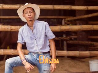 Elviszaa