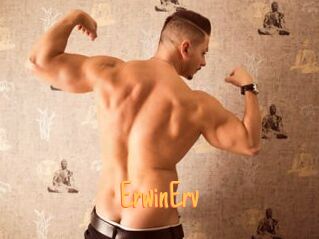 ErwinErv