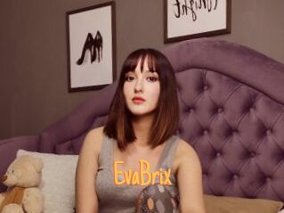 EvaBrix