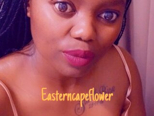 Easterncapeflower