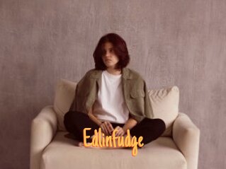 Edlinfudge