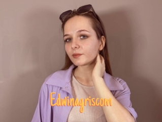 Edwinagriscom