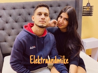 Elektraandmike