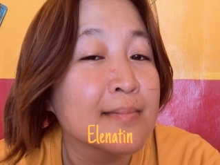 Elenatin
