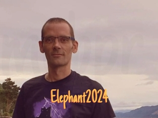 Elephant2024