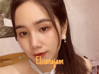 Elisanajam