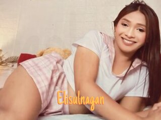Elisulnagan