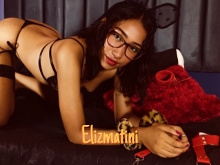 Elizmatini