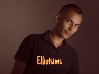 elliotsims Mobile Porno