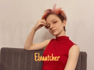 Elvaatcher