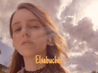 Elvabucher