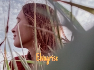 Elvagrise